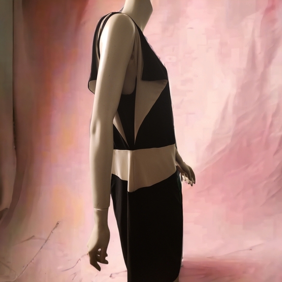 Ralph Lauren plus size color block dress - Picture 4 of 7